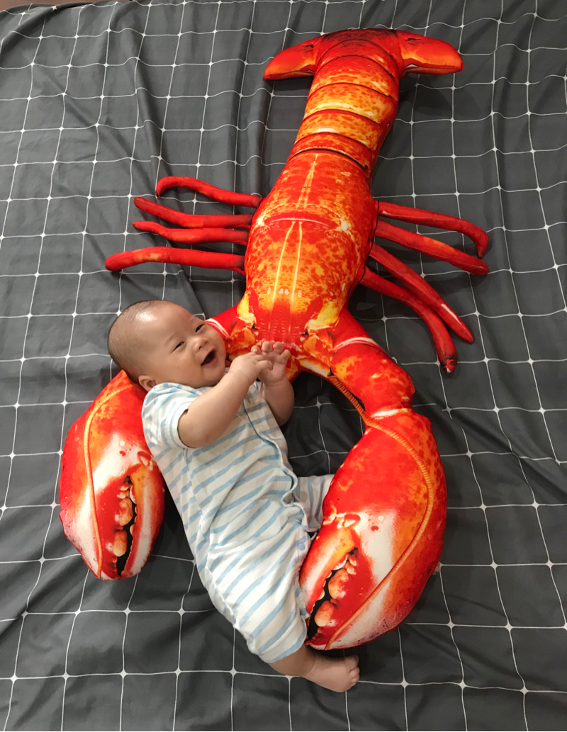 GẤU BÔNG HÌNH TÔM HÙM 3D SIÊU TO SIZE 80CM