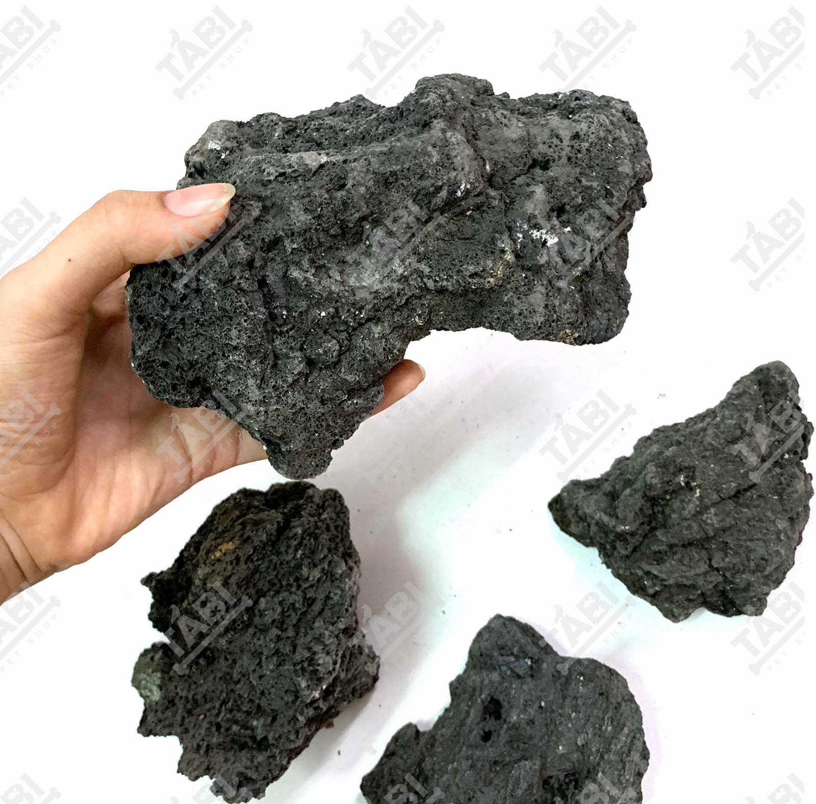 1KG Đá Đen Phan Thiết Setup Hồ Cá - Đá Đen Phan Thiết Trang Trí Bể Cá