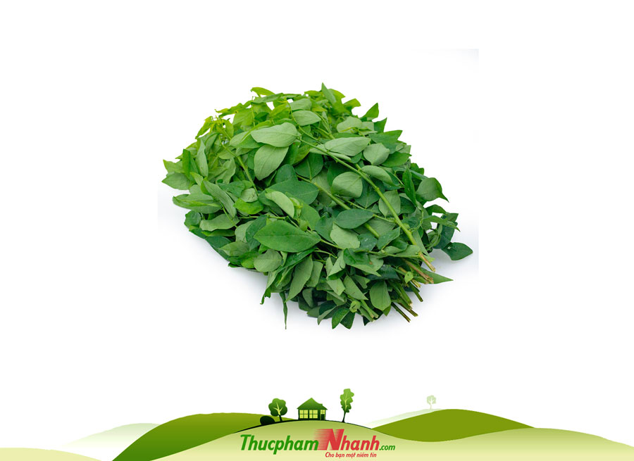 [Chỉ Giao HCM] - Rau ngót - 500g