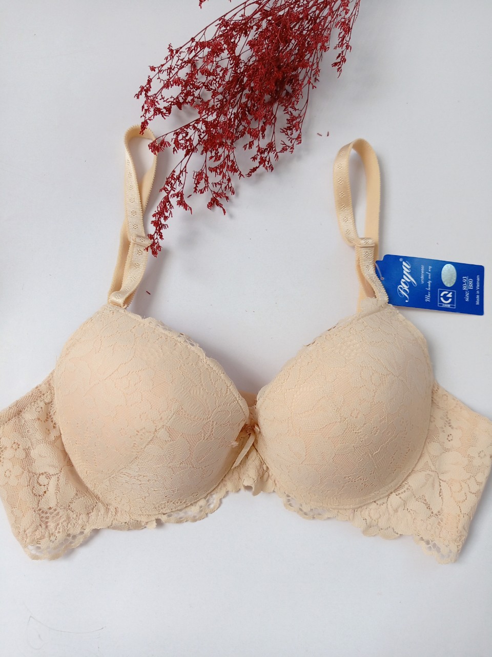 [522b]áo ngực boya mút mỏng