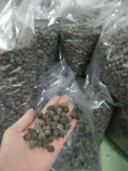 [HCM]Quả sim rừng hà tĩnh ( khô 1kg)