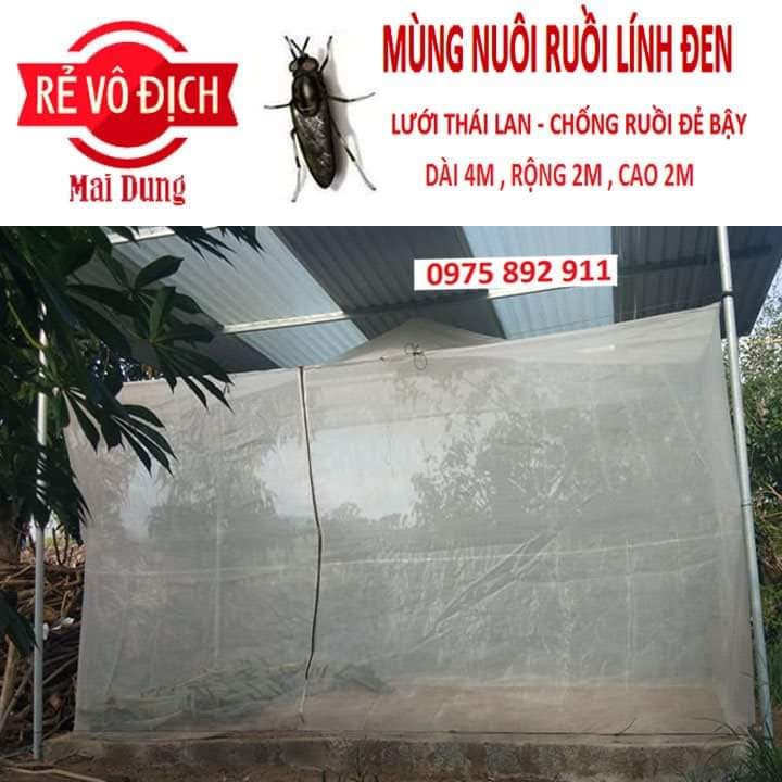 mùng nuôi ruồi lính đen 4x2x2