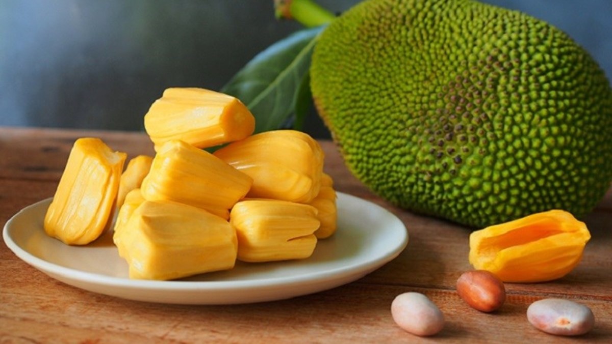 CÂY GIỐNG MÍT THÁI LAN GHÉP CHO TRÁI SỚM.