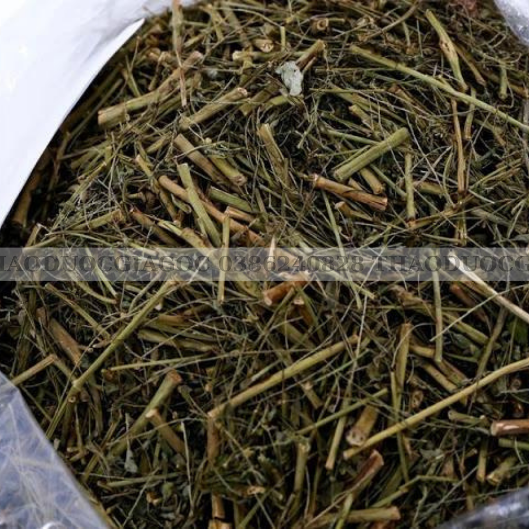 Diệp hạ châu(lá chó đẻ răng cưa) 1kg khô thơm sạch.