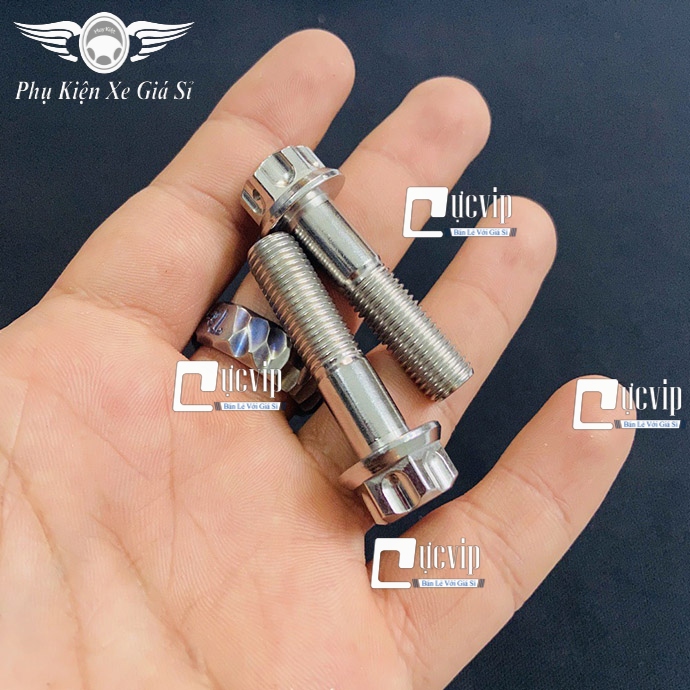 [HCM]Combo 2 Ốc 10Ly4 Bắt Chân Phuộc Xe Sirius Jupiter Ốc Gác Pô Chất Liệu Inox MS3724