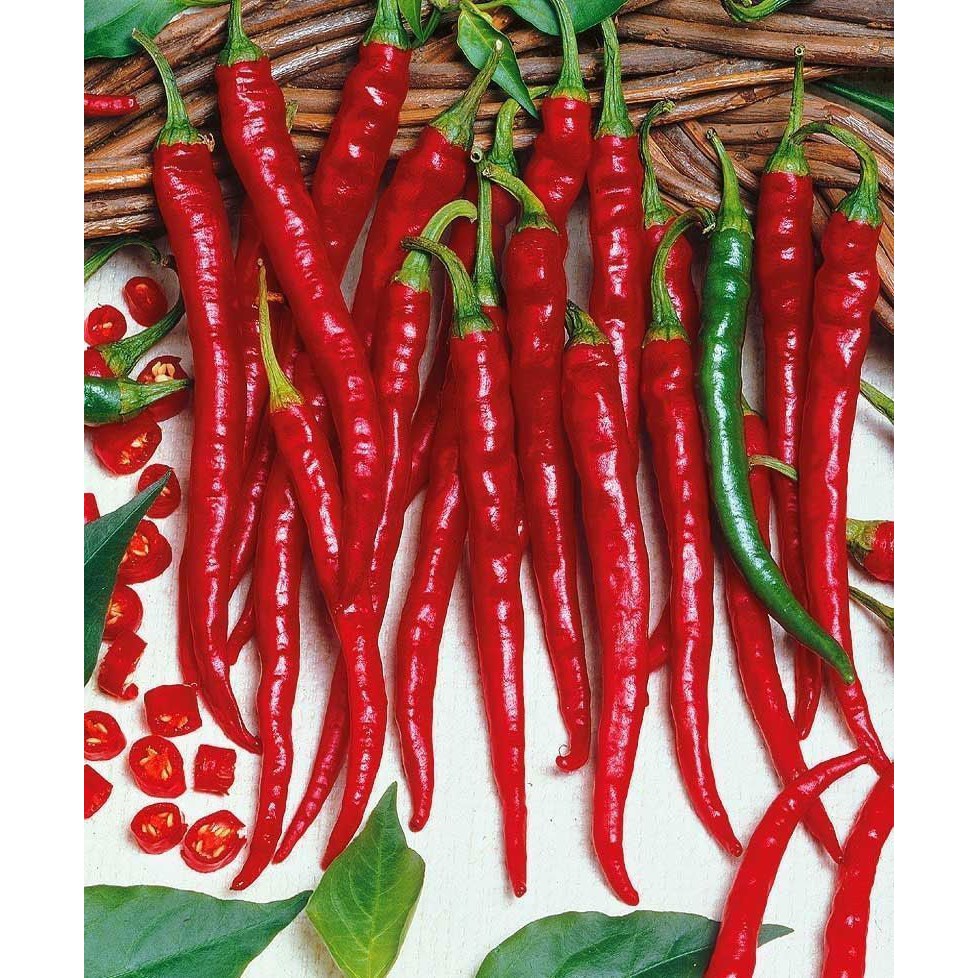 [TẶNG] 10 Hạt ớt giống Joe's Long Cayenne