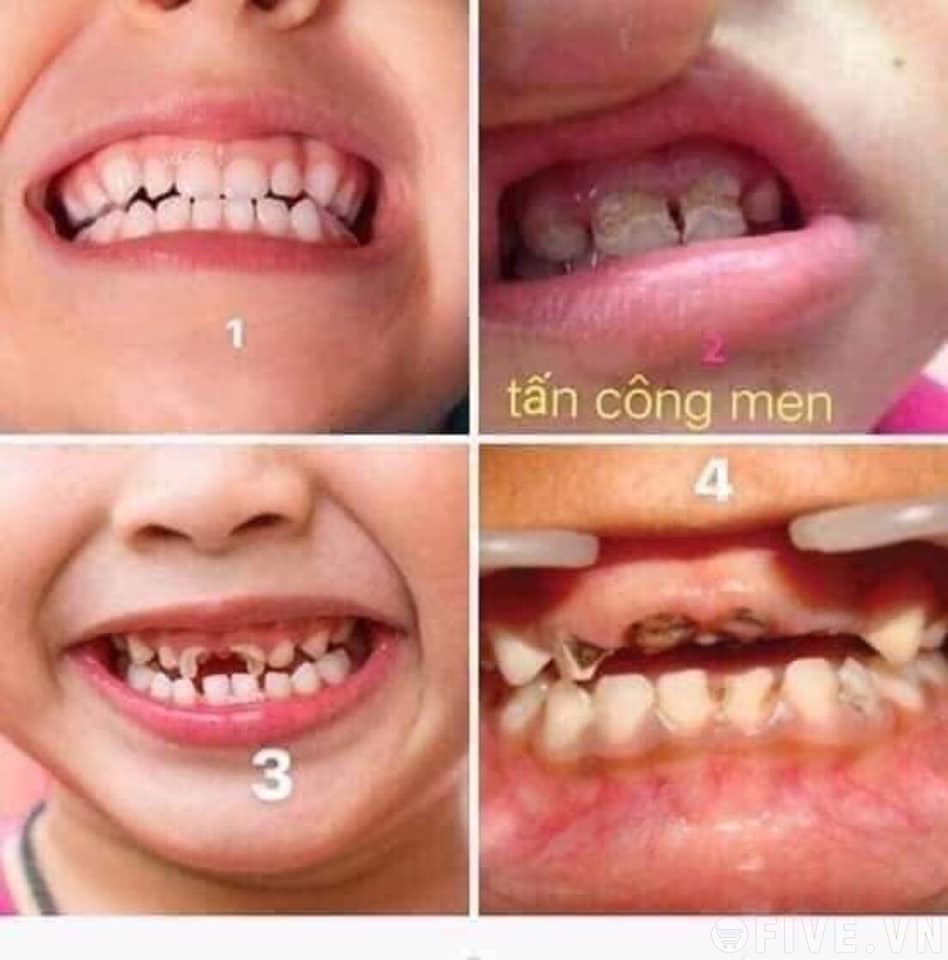 Tinh Dầu Dạ Thảo Liên