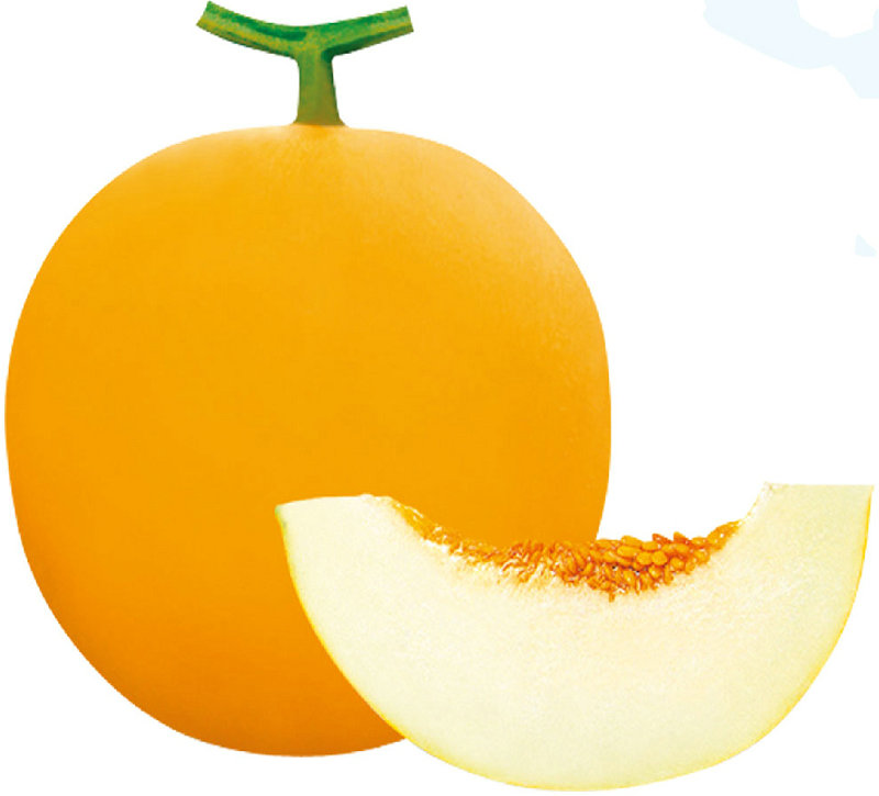 Hạt giống Dưa lê vỏ vàng kim cô nương (Gói 20 hạt)
