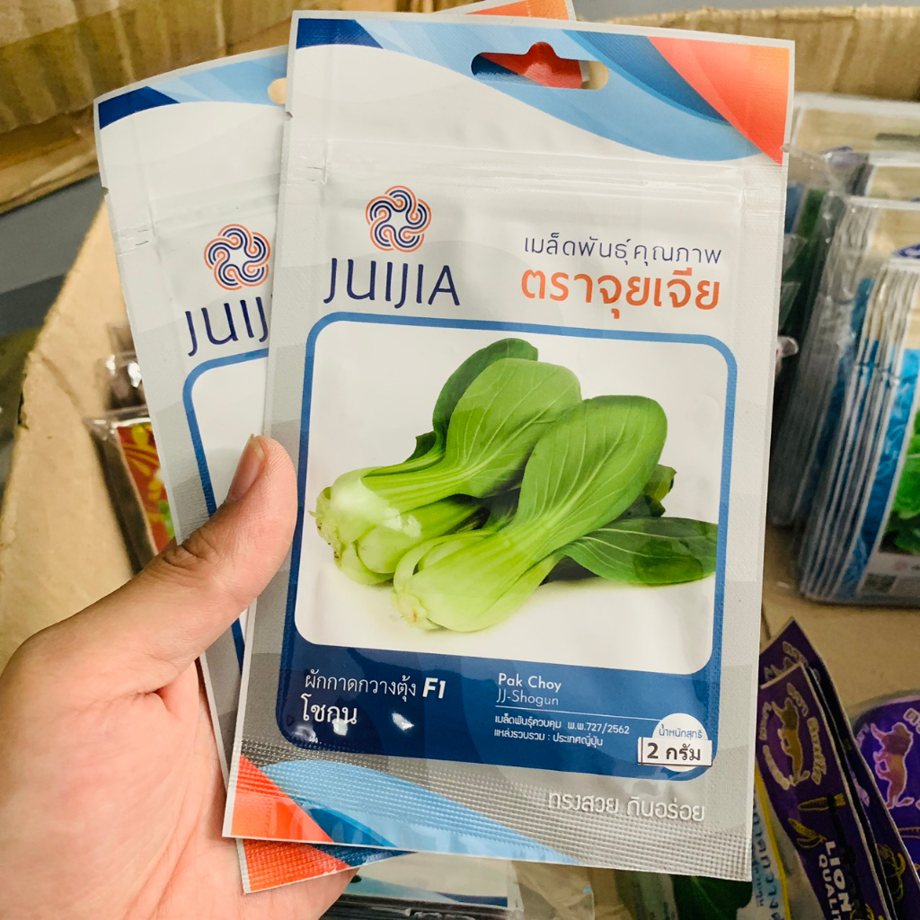 Hạt giống cải thìa khổng lồ, 2000 hạt/gói. Hàng nhập Thái Lan