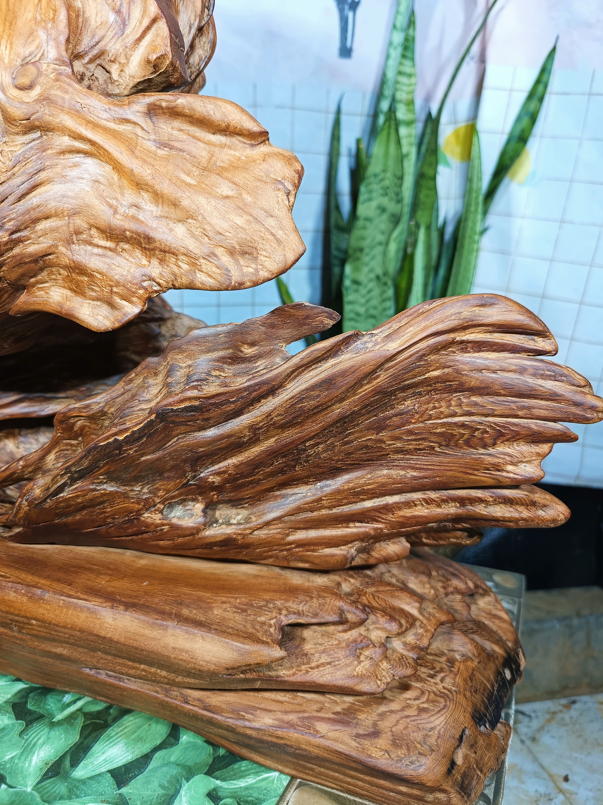 lũa gỗ thơm ngọc am đỏ hà giang. măng gỗ độc đáo