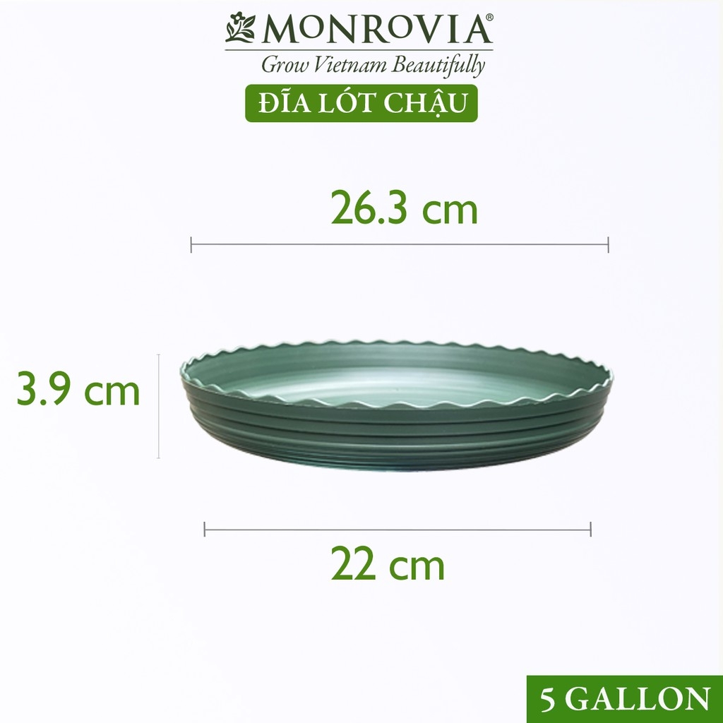 đĩa nhựa chậu Monrovia TQ