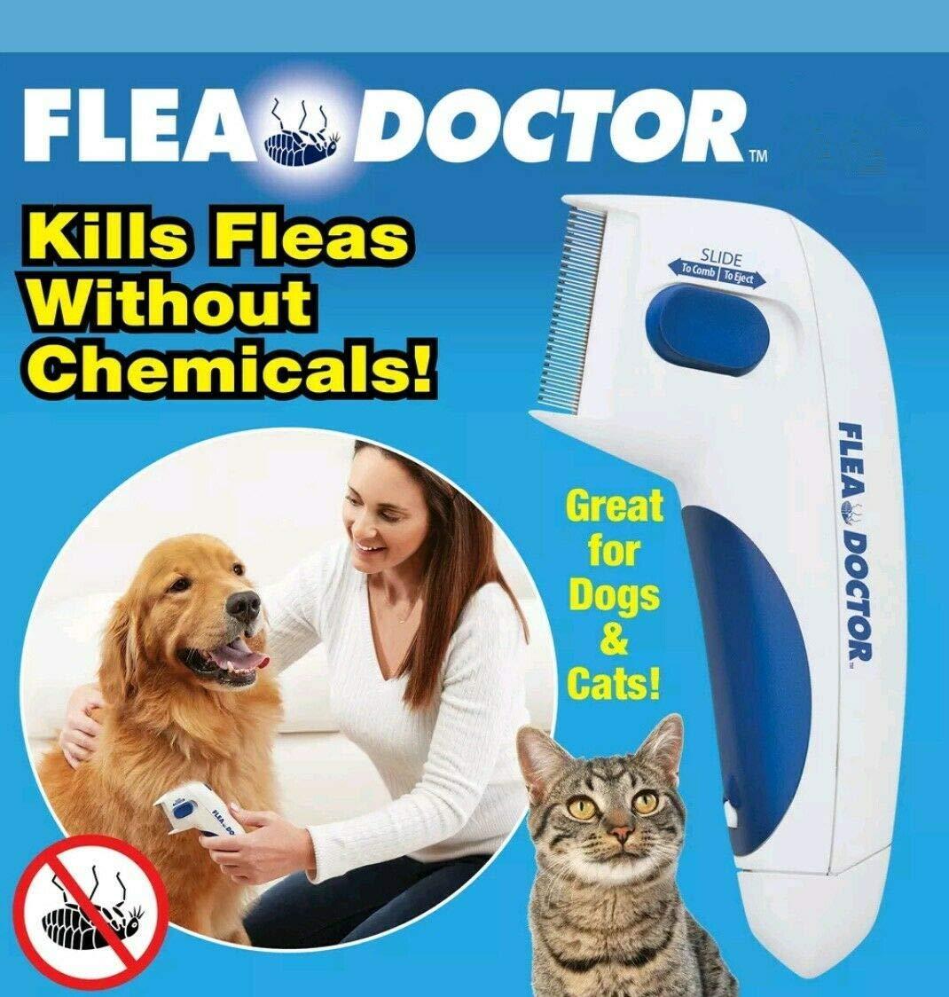 - bác sĩ flea - flea doctor