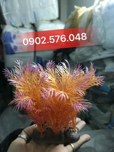 [HCM]Cây nhựa trang trí hồ cá nhỏ
