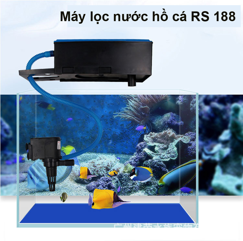 Combo máy bơm, máng lọc, RS - 188 cho hồ cá cảnh