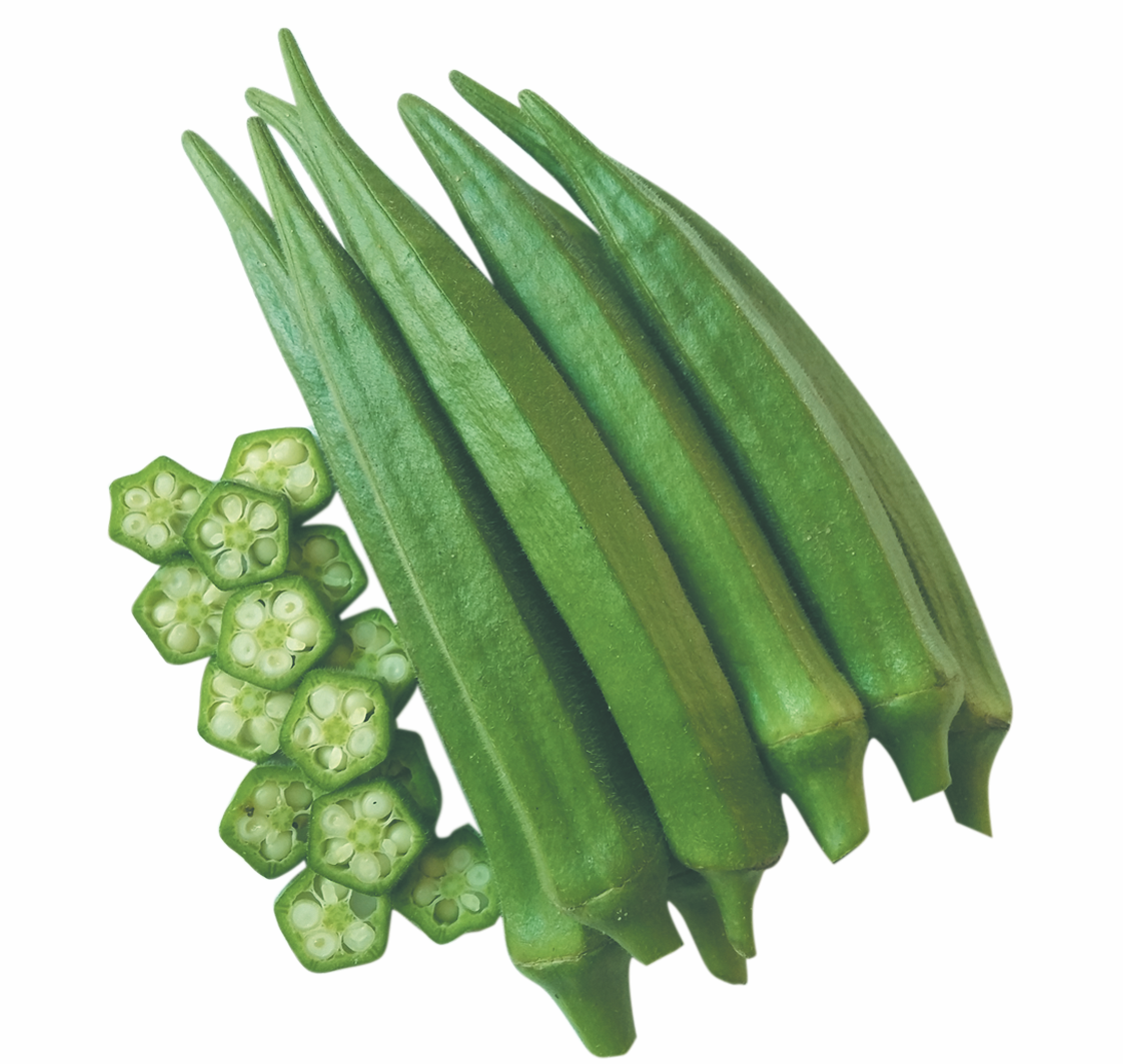 Hạt giống Đậu Bắp cao sản, đậu trái nhiều, trồng quanh năm (gói 20 gr) - Hạt giống Rạng Đông