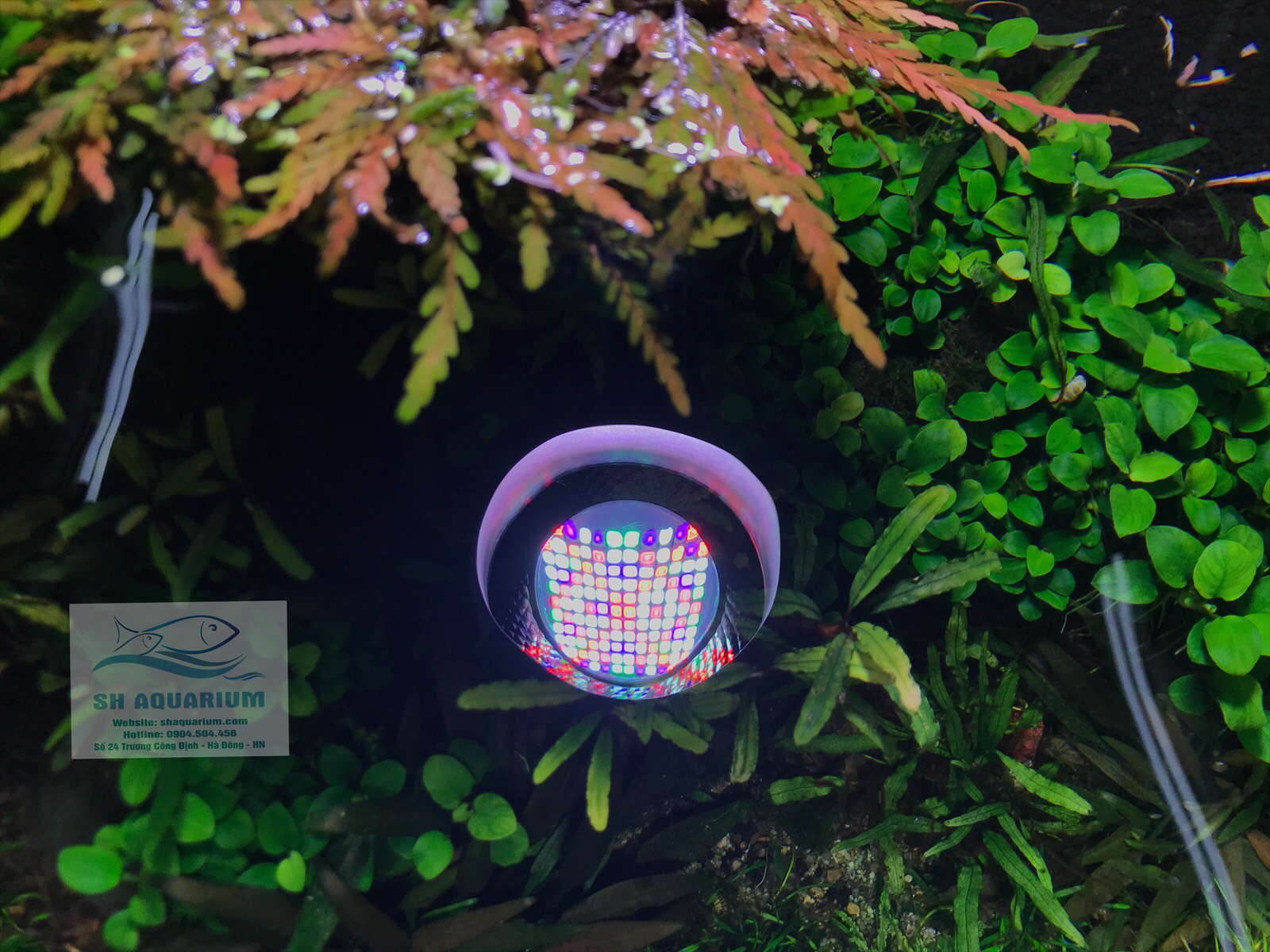 [HOÀN TIỀN 10%]ĐÈN WEEK ROCKET WRGB T70 (Bản có dimer)