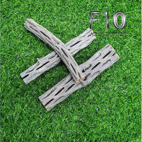 Lũa cholla - lũa xương rồng - đồ chơi tép kiểng - dán ráy. bucep. rêu