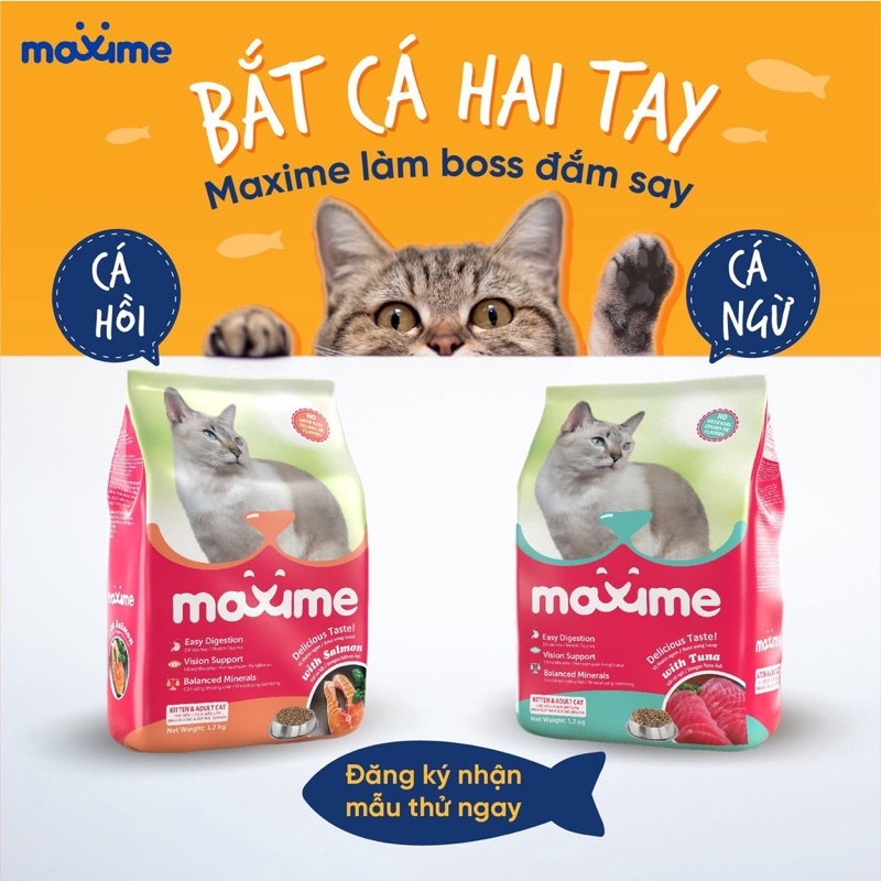 Thức Ăn Hạt Cho Mèo Maxime Cho Mèo Mọi Lứa Tuổi - Yan Pet