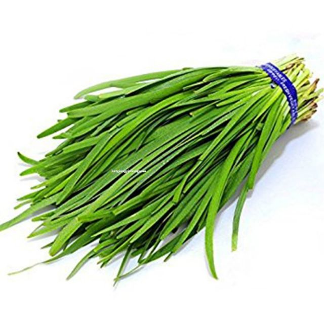 MJ35C GÓI 50 Hạt cây hẹ thơm