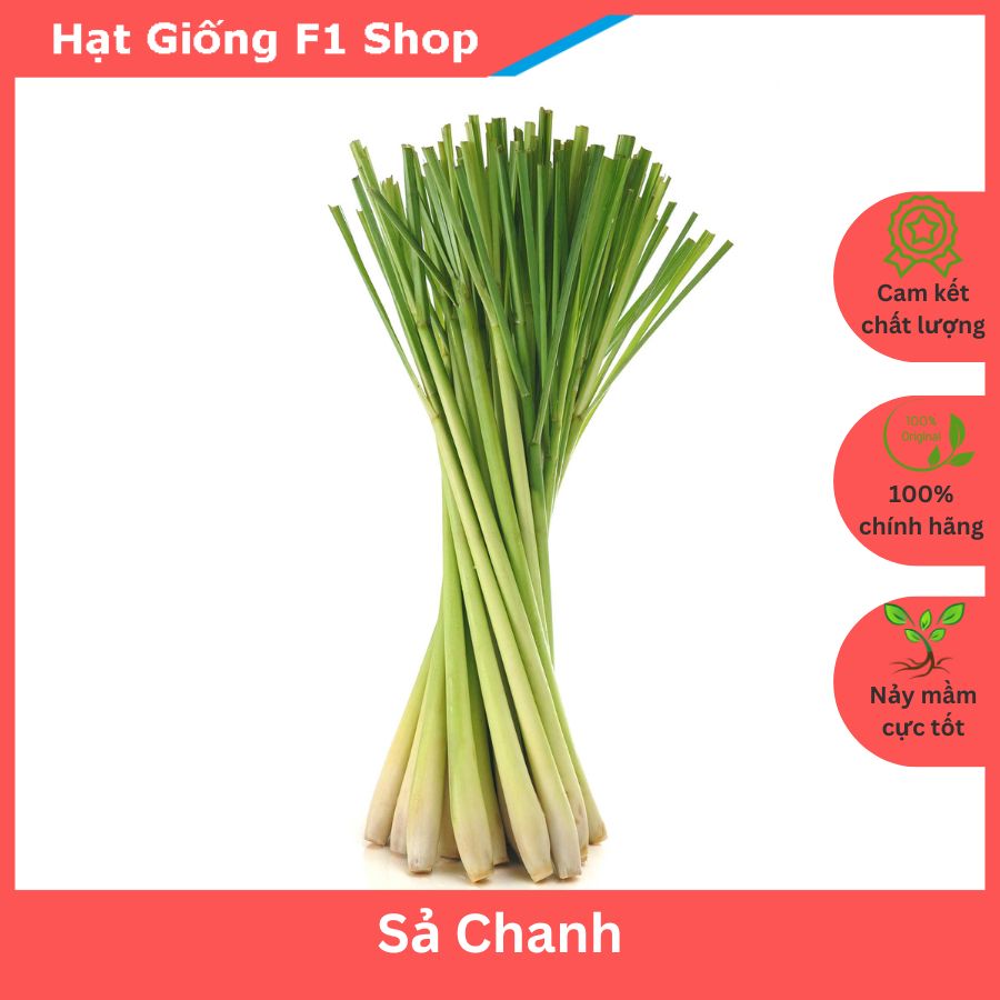 Hạt Giống Cây Sả Chanh Chất Lượng F1 (10H)