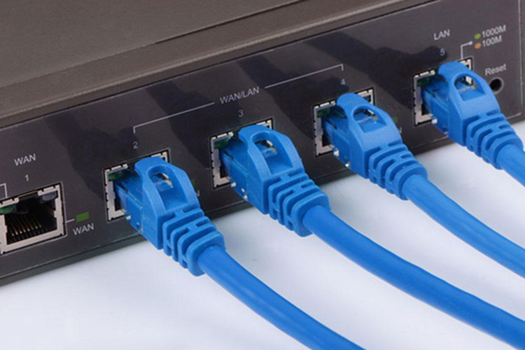 Cáp mạng (Lan) 25 mét đúc sẵn 2 đầu (xanh) Cat5E.