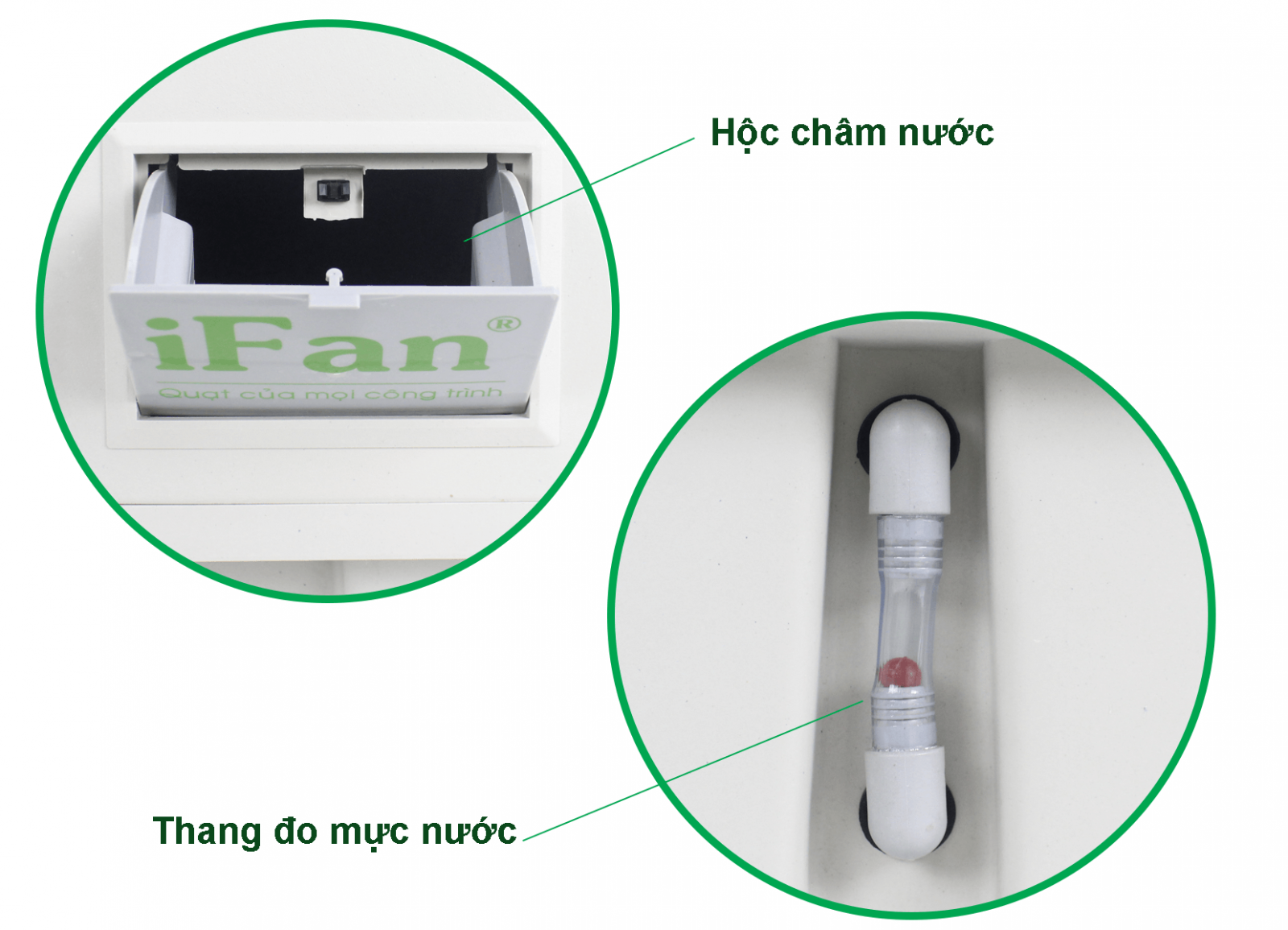 QUẠT LÀM MÁT BẰNG HƠI  NƯỚC IFAN-1800