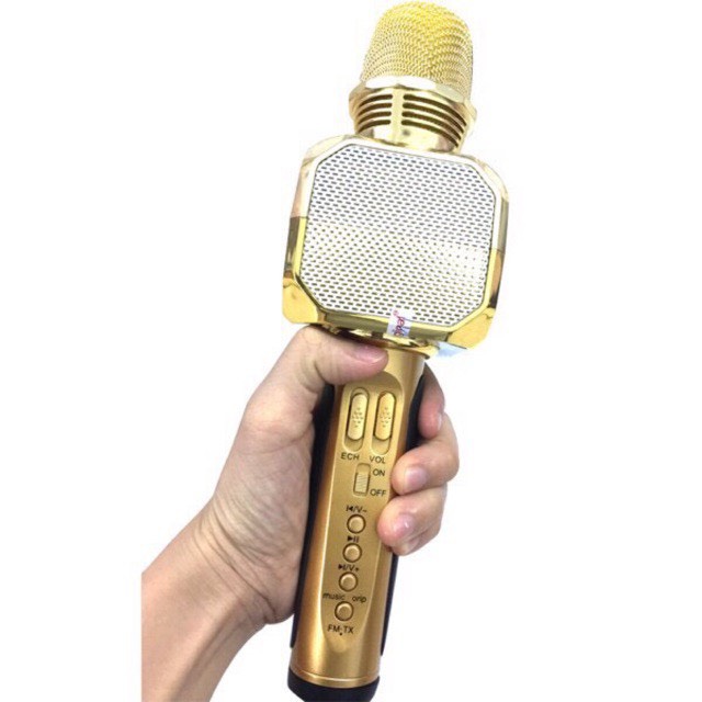 mic karaoke sd10 bluetooth BH 6T
