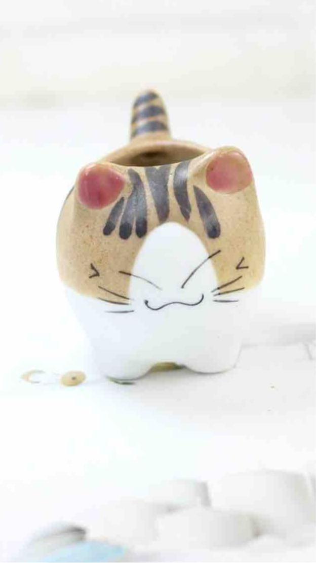 Set 5 chậu mèo trồng cây trang trí
