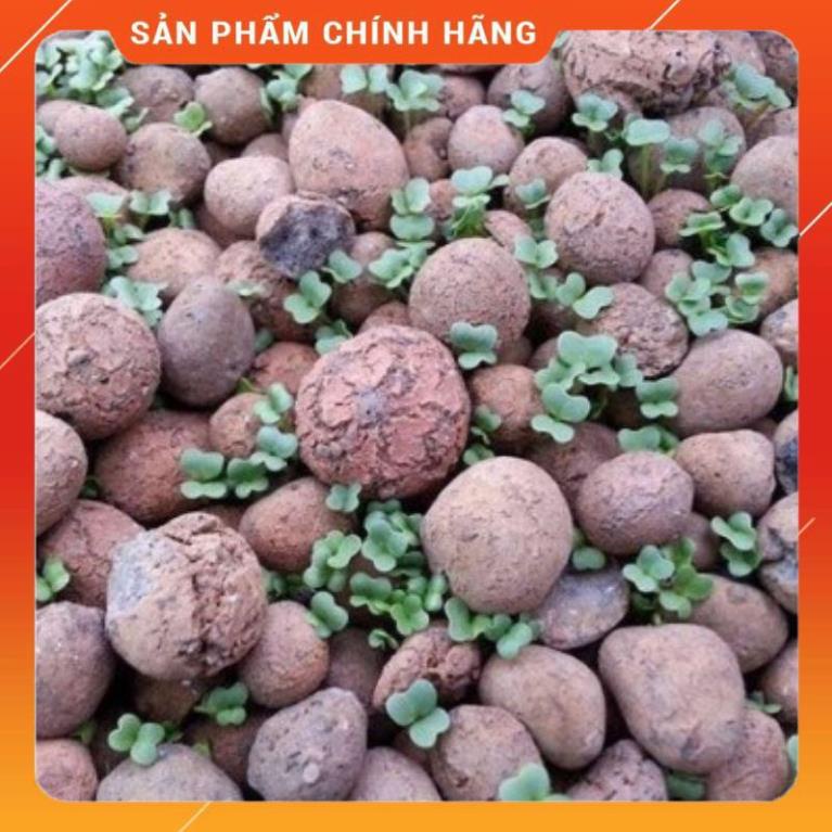 1kg đất nung (sỏi nhẹ) dùng để trồng cây