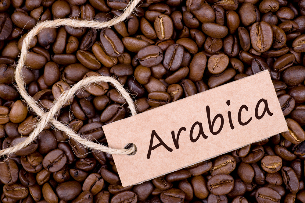 Combo 2  Gói Cafe ARABICA