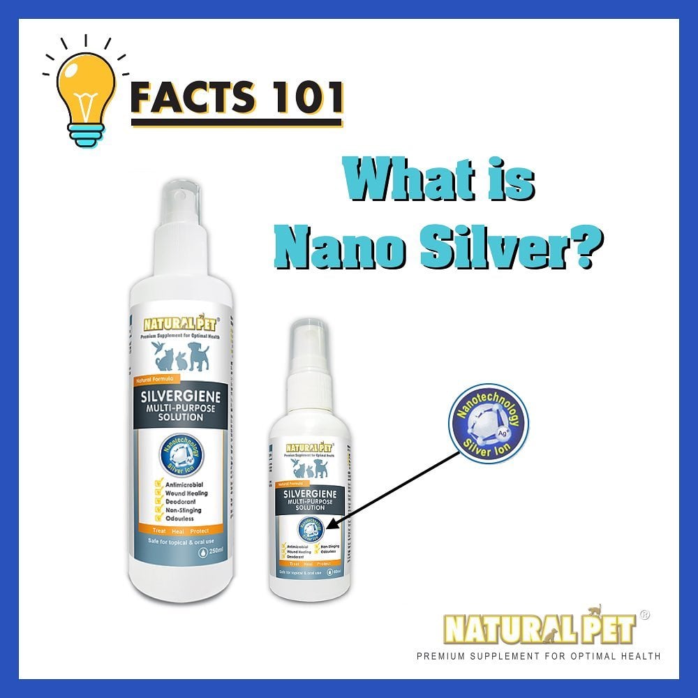 XỊT NANO SILVER LÀM LÀNH VẾT THƯƠNG CHO THÚ CƯNG