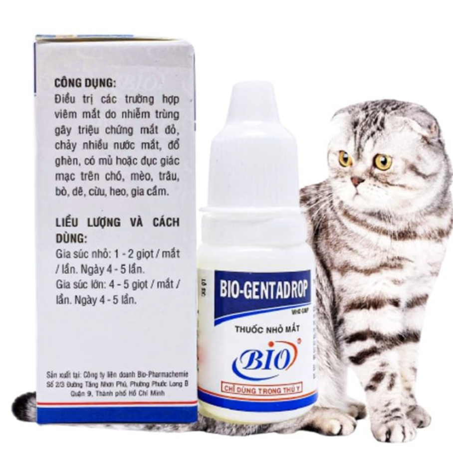 Nhỏ mắt Bio-Gentadrop cho chó mèo