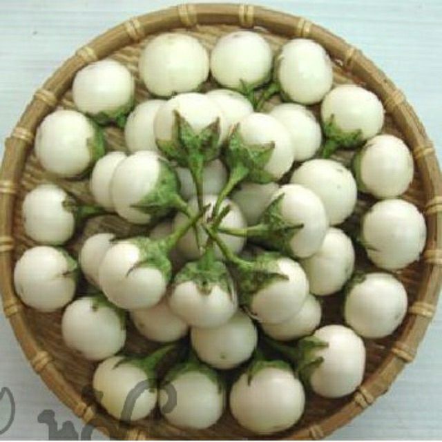 hạt giống cà pháo trắng- gói 1gr