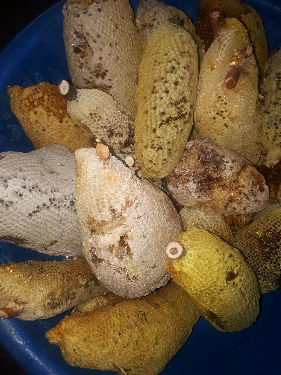 mật ong ruồi 1kg