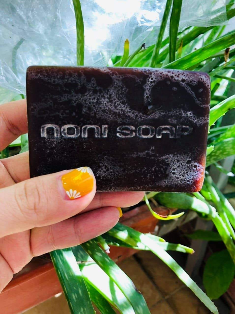XÀ BÔNG HỮU CƠ NHÀU - NONI SOAP
