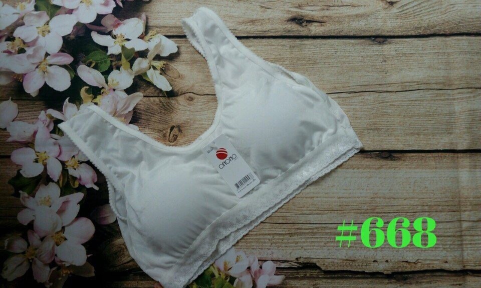 COMBO 2 ÁO LÁ HỌC SINH  MÃ 668