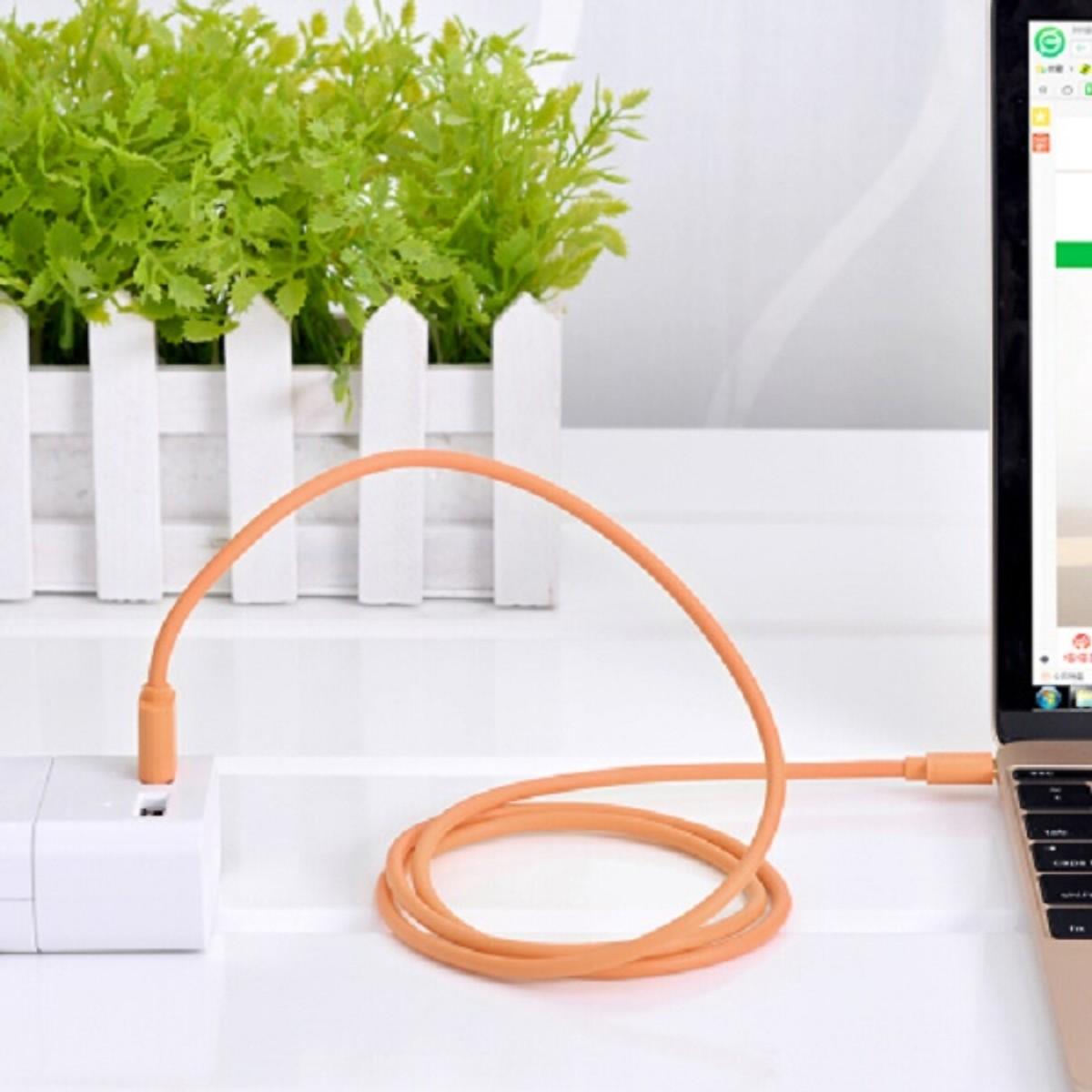 Cáp USB Type C Ugreen US141 (10668) - Cam