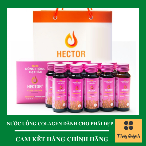 [HCM]NƯỚC UỐNG ĐÔNG TRÙNG HẠ THẢO HECTOR COLLAGEN ( COMBO 1 HỘP 10 CHAI )