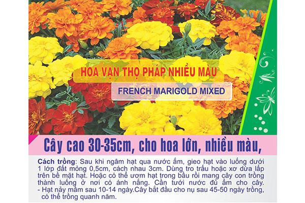 Gói 50 hạt giống hoa vạn thọ pháp nhiều màu - nanuseeds