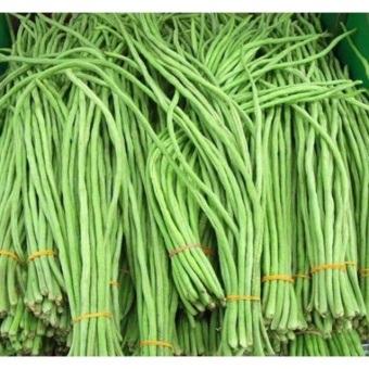 Hạt giống Đậu đũa xanh hạt đậu