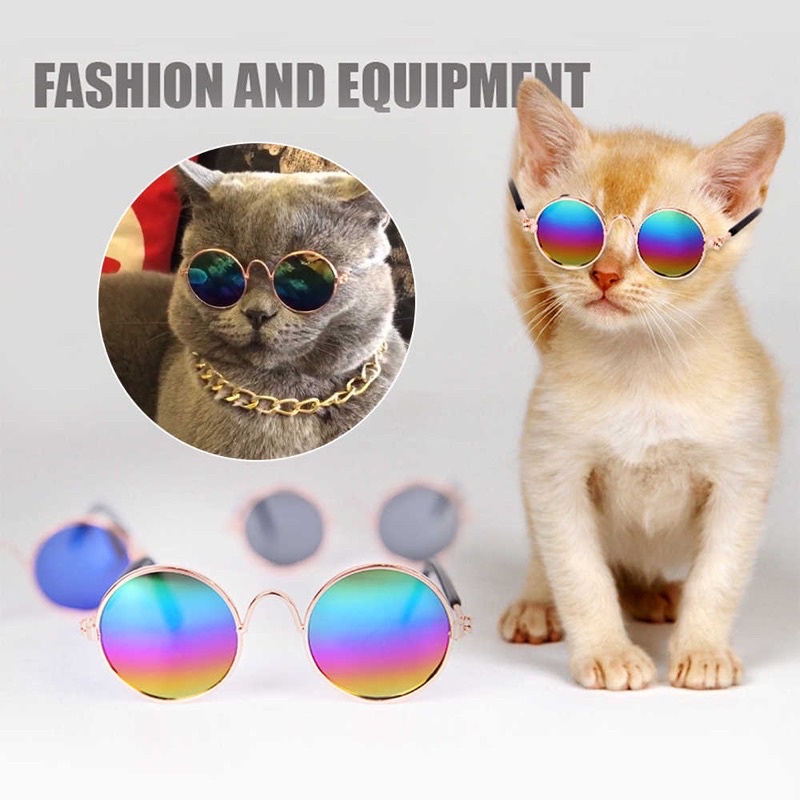 Kính Râm Cho Thú Cưng Siêu Ngầu 😎