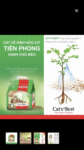 Cát gỗ hữu cơ Cats Best Original 10L