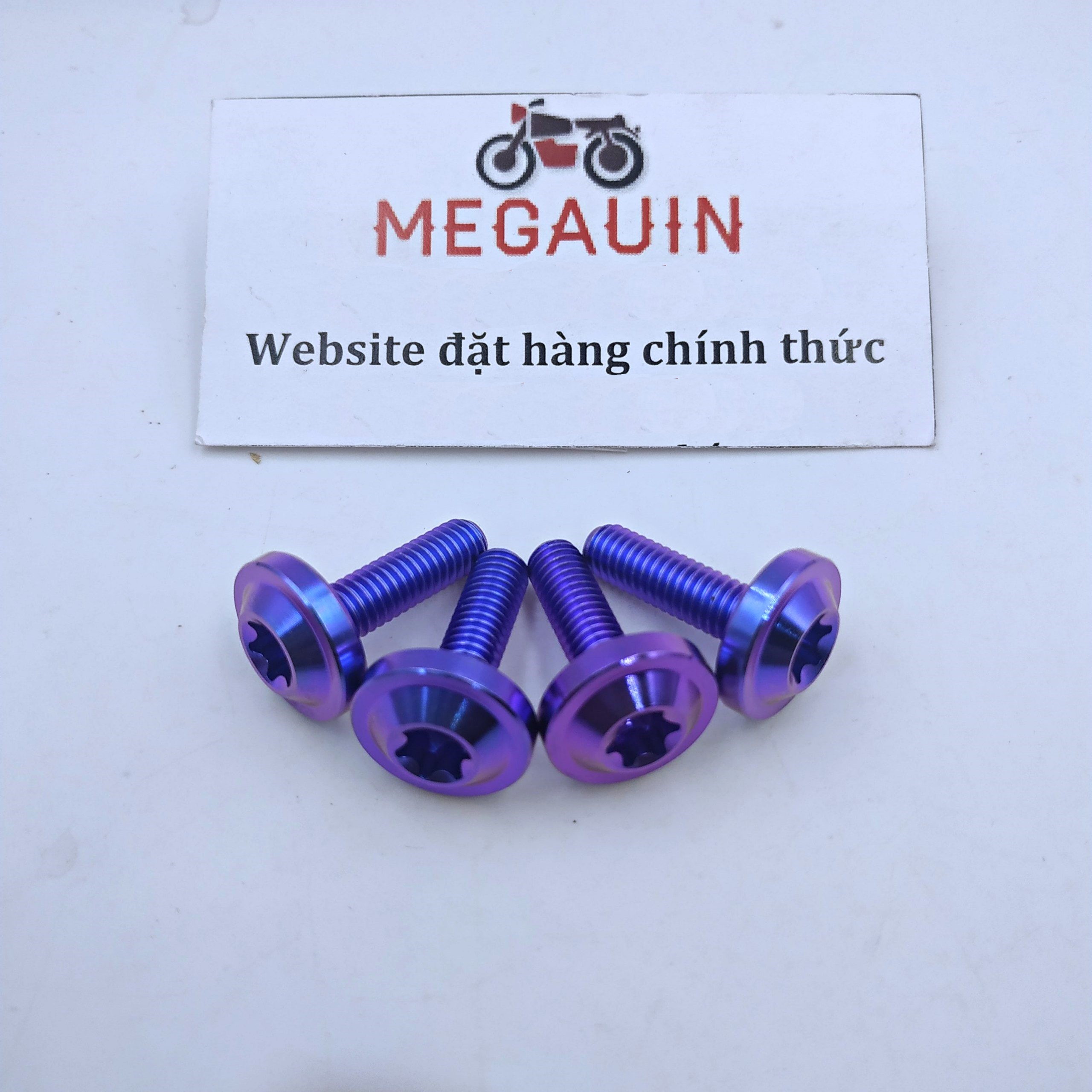 Ốc TITAN GR5 Gắn Mão (Mào Chắn Gió) Winner X