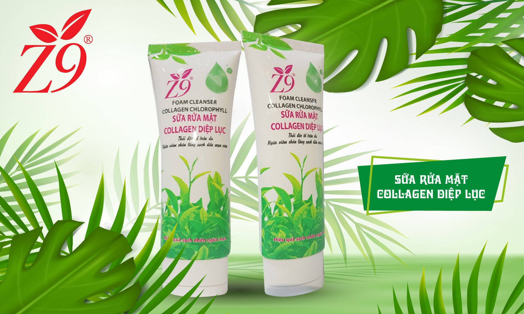 Z9 SỮA RỬA MẶT COLLAGEN DIỆP LỤC (Tuýp 100ml) - Z65