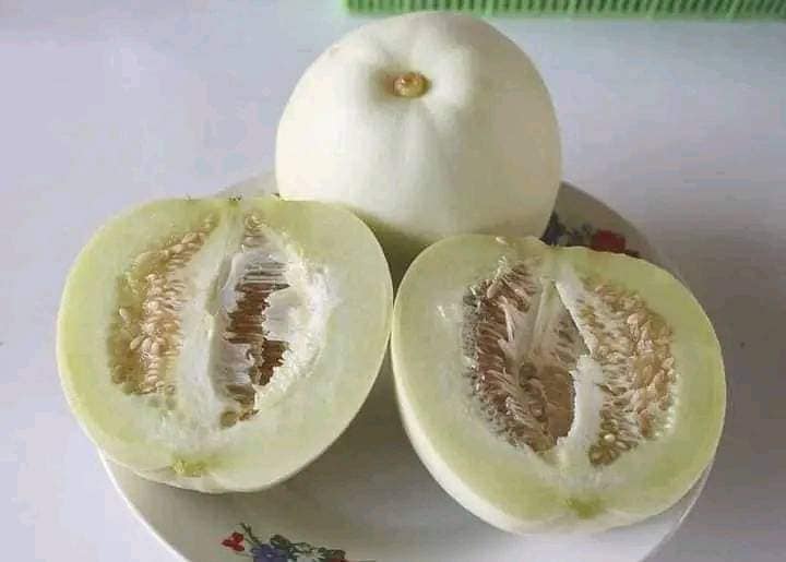 20 HẠT GIỐNG DƯA LÊ TRẮNG SIÊU NGỌT