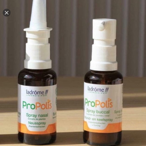 Xịt mũi keo ong hữu cơ Ladrome (30ml)