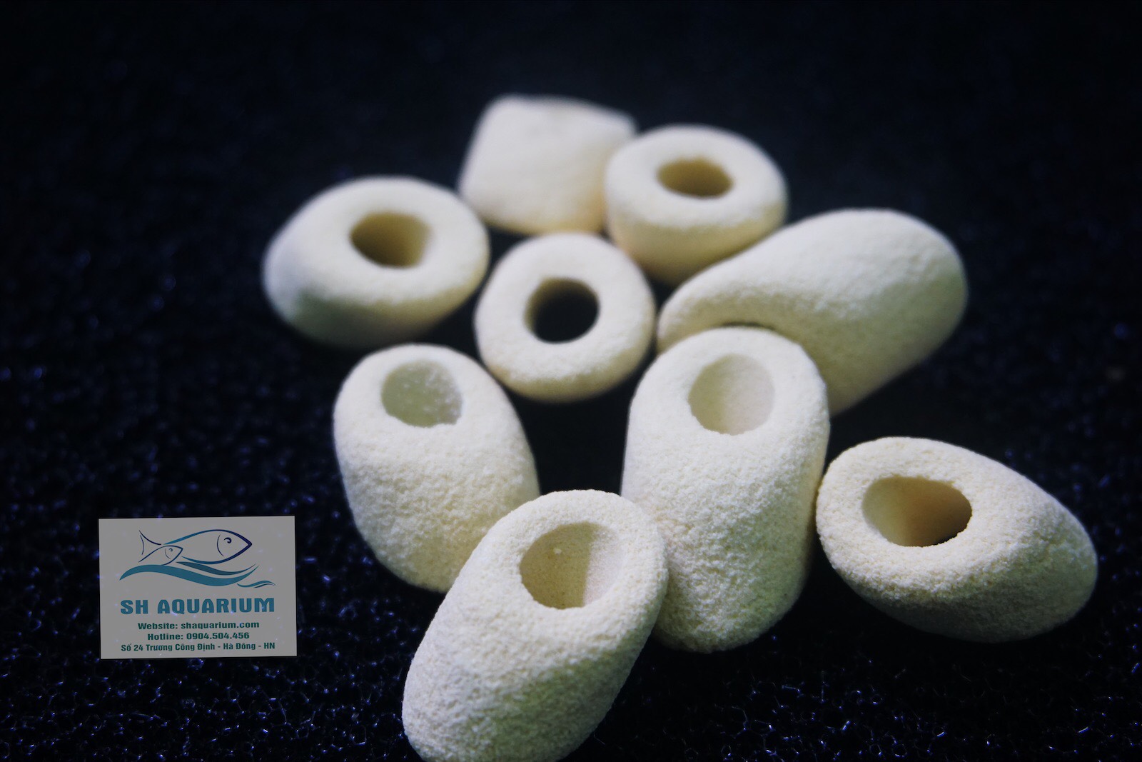[HOÀN TIỀN 10%]SỨ LỌC CAO CẤP NITRO RING MOUNTAIN TREE