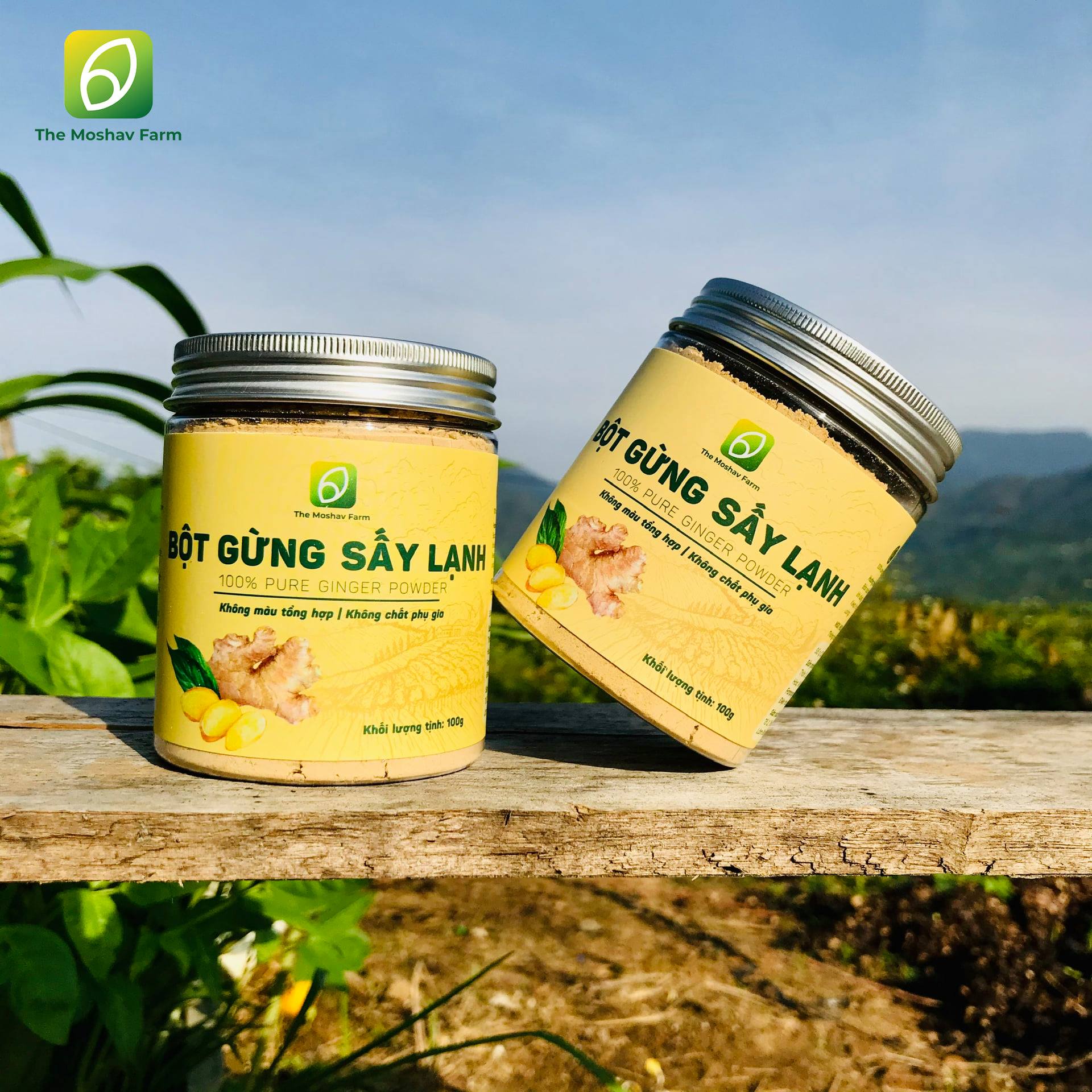 BỘT GỪNG TÚI LỌC