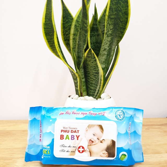 COMBO 5 GÓI KHĂN GIẤY ƯỚT PHÚ ĐẠT CAO CÂP 100 TỜ/GÓI