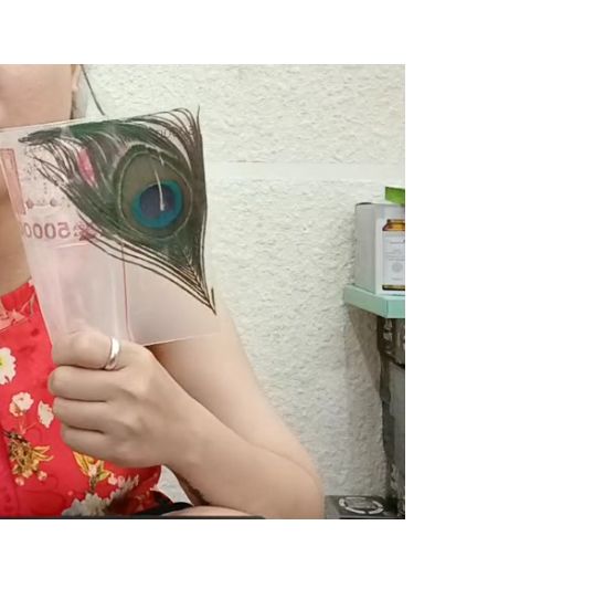 Lông Công May Mắn